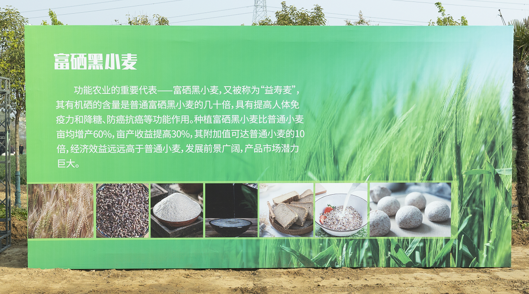 3E3A4807 拷贝.png